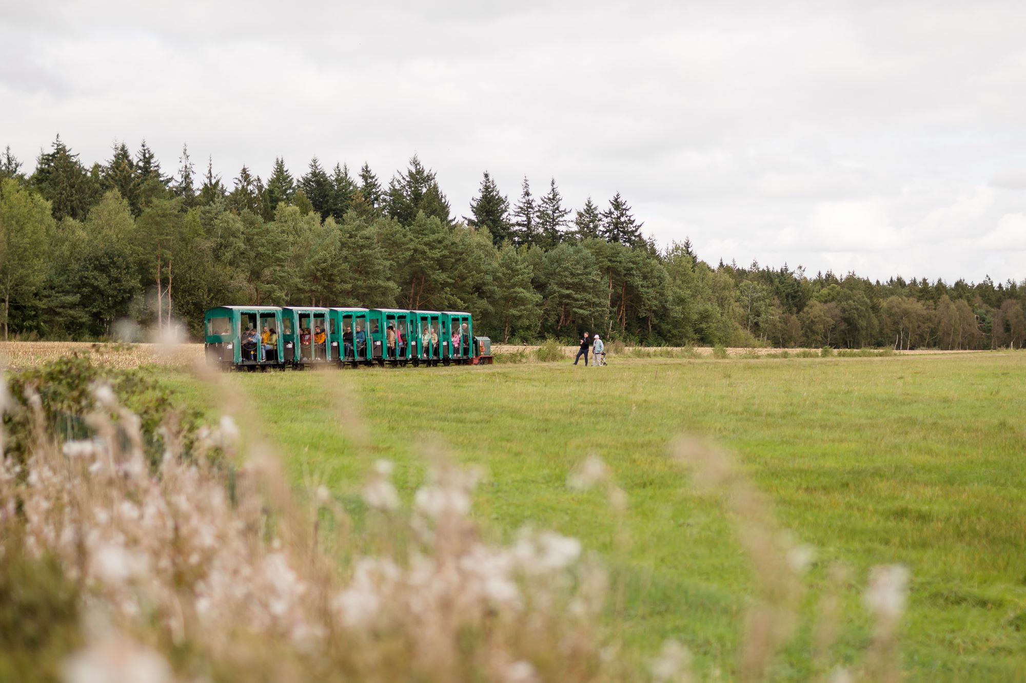 Moorbahn im Ahlenmoor