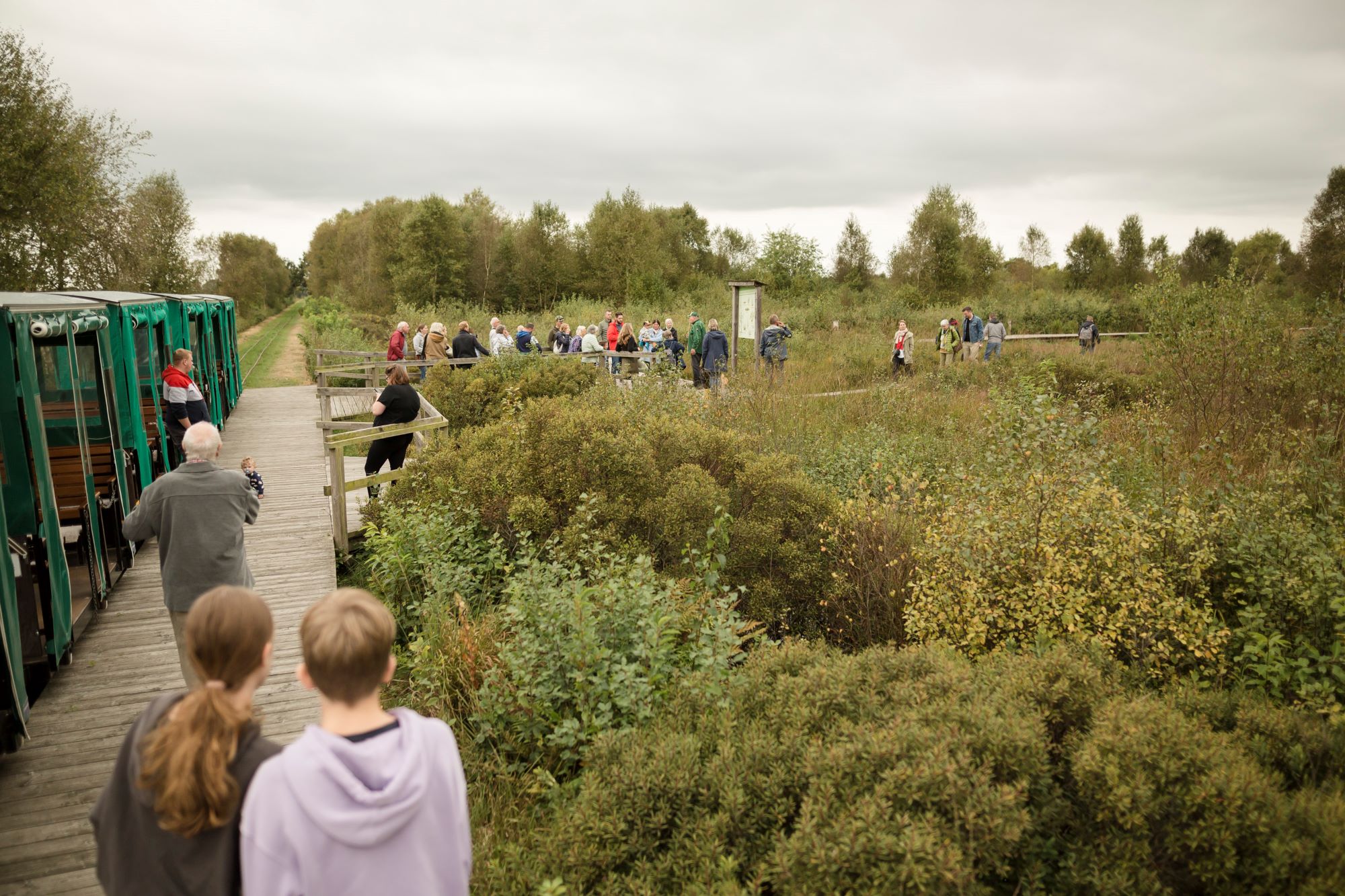 Besucher im Ahlenmoor